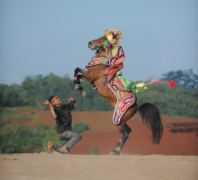 Atraksi Kuda Renggong