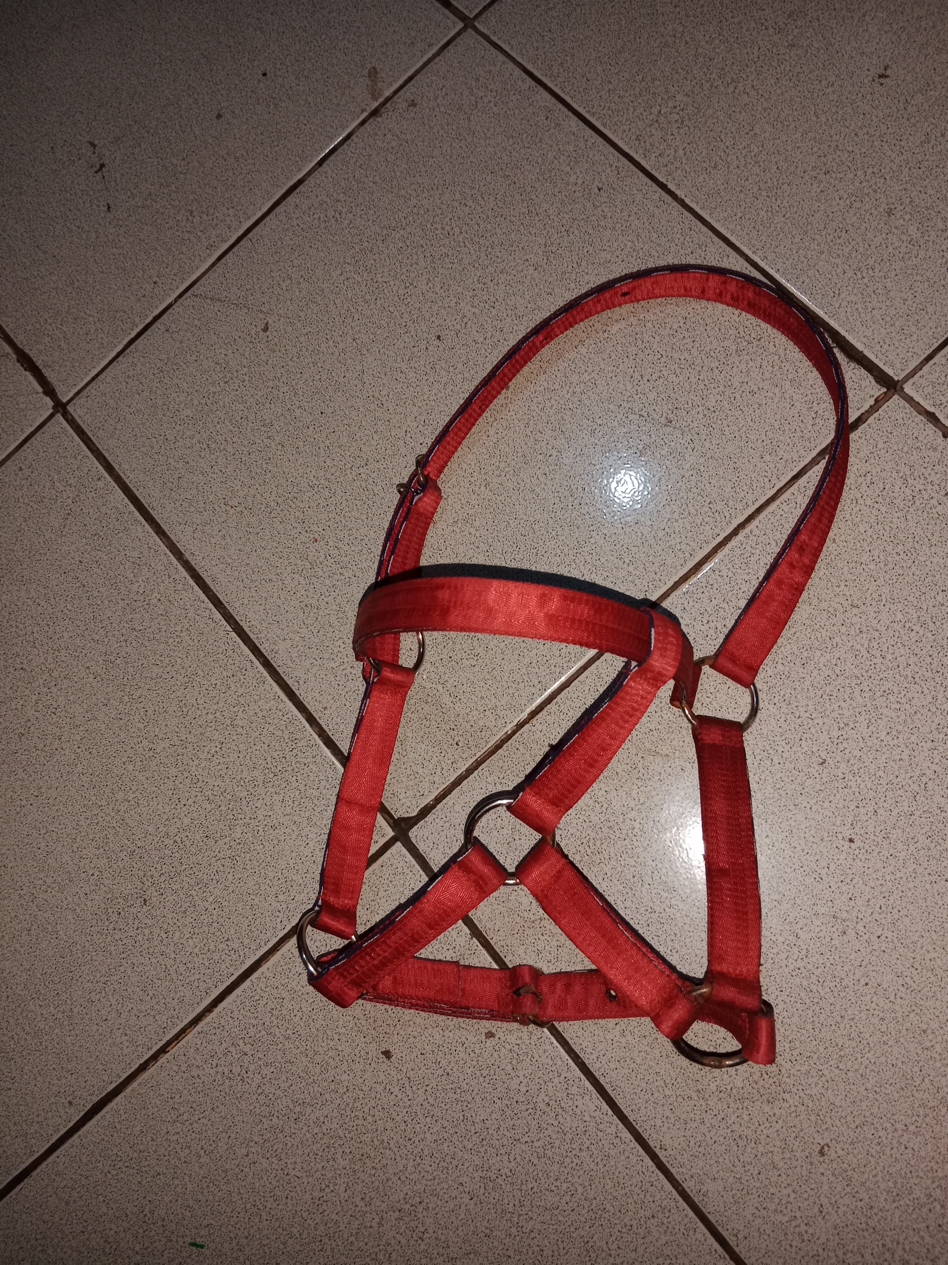 Tali Kepala Kuda (Tali Kekang)